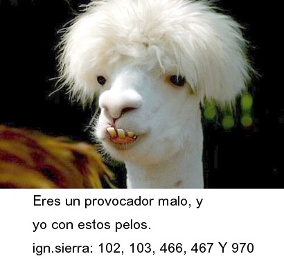 051.jpg