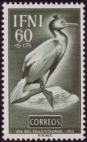 85.jpg