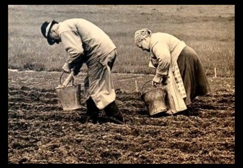 Nils P. Blix foto.jpg