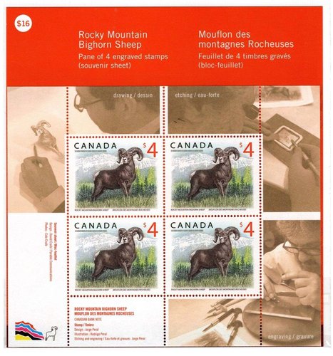 2018_Canadá_Rocky%20Mountain%20Bighorn%20Sheep__ag%20y%20b_result.jpg