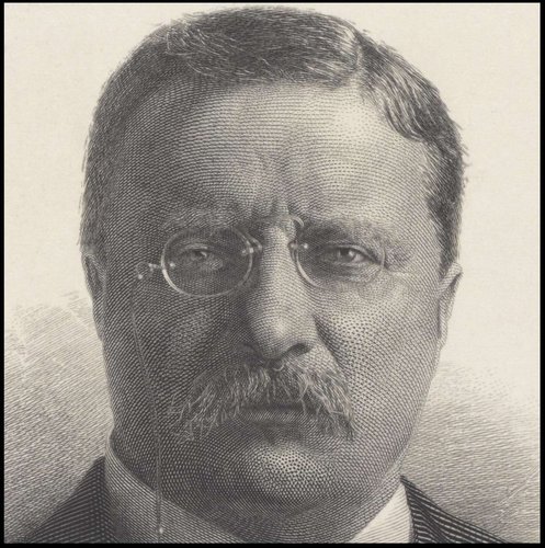Detalle ampliado de este majestuoso retrato de 1908…