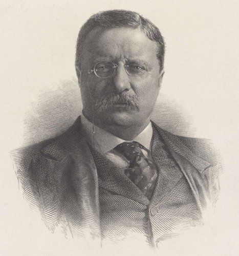 Retrato de Theodore Roosevelt grabado por George F. C. Smillie en 1908