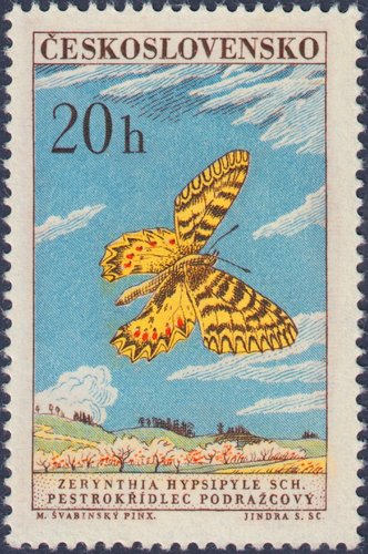 Checoslovaquia, 1961, Mariposas. Zerynthia hypsipyle. Sello diseñado por Max Švabinský y grabado por Jindra Schmidt. Calcografía