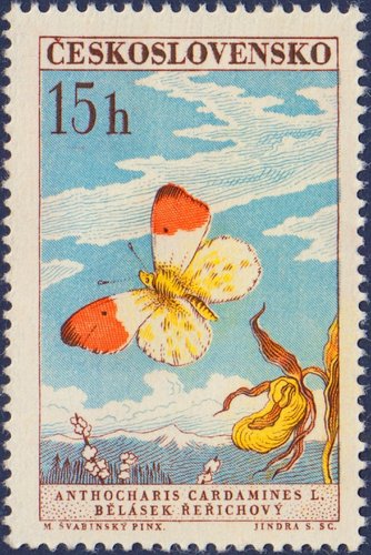 Checoslovaquia, 1961, Mariposas. Anthocharis cardamines, o mariposa aurora. Sello diseñado por Max Švabinský y grabado por Jindra Schmidt. Calcografía
