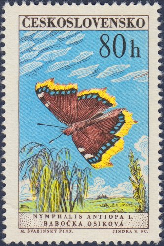 Checoslovaquia, 1961, Mariposas. Nymphalis antiopa. Sello diseñado por Max Švabinský y grabado por Jindra Schmidt. Calcografía