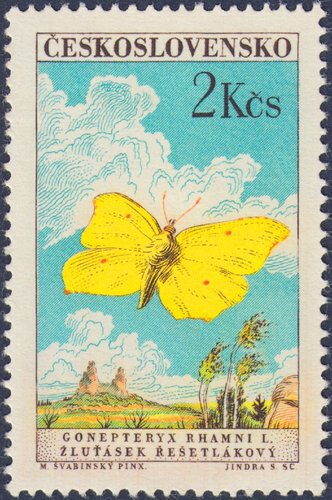 Checoslovaquia, 1961, Mariposas. Gonepteryx rhamni. Sello diseñado por Max Švabinský y grabado por Jindra Schmidt. Calcografía