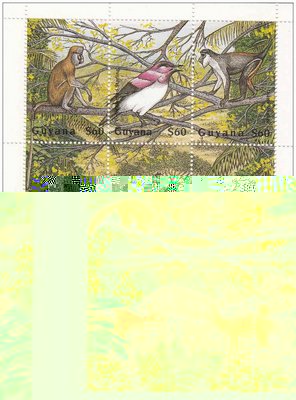 ard. guyana.jpg
