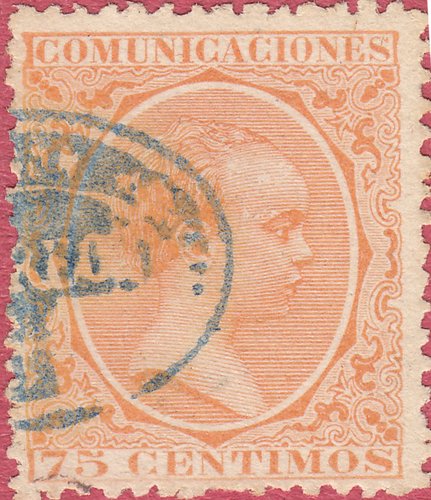 225-5.jpg