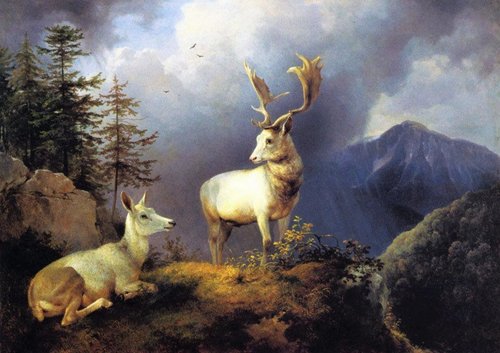 “Ciervo”,  pintura de Friedrich Gauermann