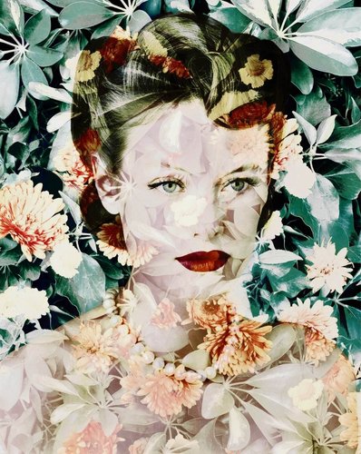 “Calendula”, perteneciente a la serie “Black-Eyed Susan I” (2010), fusión fotográfica original de Valérie Belin, 163 x 130 cm