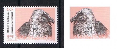 edifil 3271.jpg