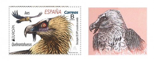 quebranta 2019.jpg