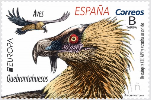 2019-04-23. Europa. Aves. Quebrantahuesos. Boceto. Baja.jpg