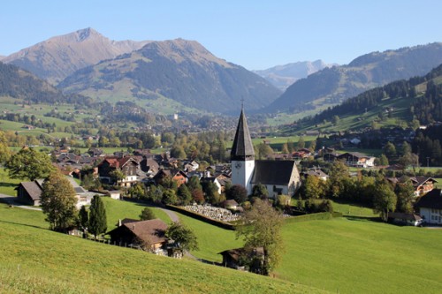 Saanen Suiza