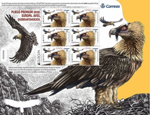 2019-04-23. Europa. Aves. Quebrantahuesos. Pliego Premium. Boceto. Baja.jpg