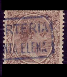 carteria01.jpg