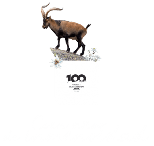 inmensidad.png