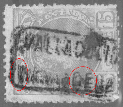 carteria03.jpg
