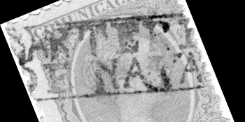 carteria04.jpg