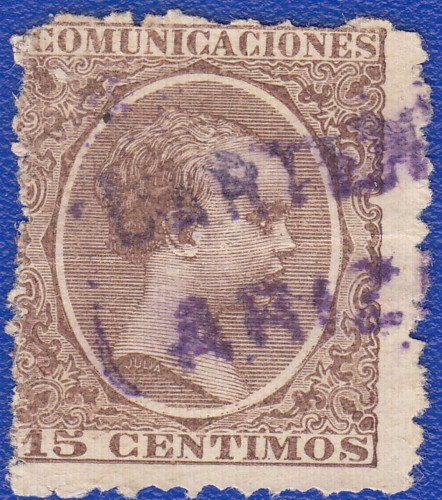 carteria ariza violeta.jpg