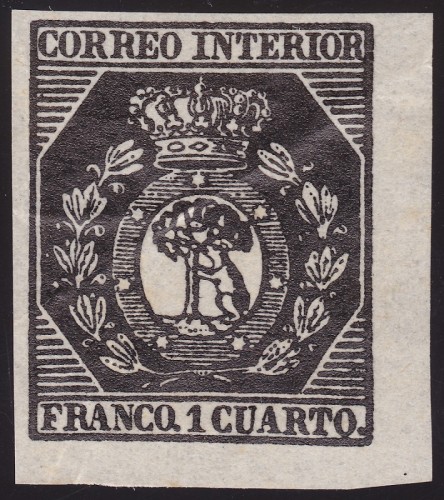 Nº 22 Falso Segui color negro.jpg