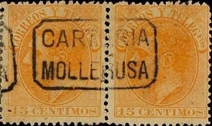 L MOLLERUSA 1.jpg