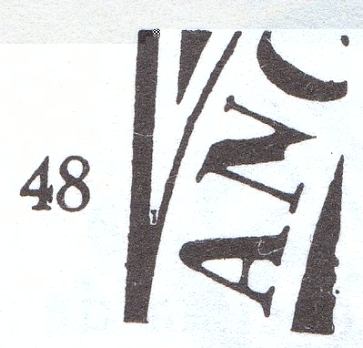 tort48.jpg