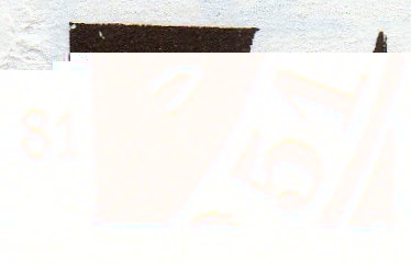 tort 81.jpg