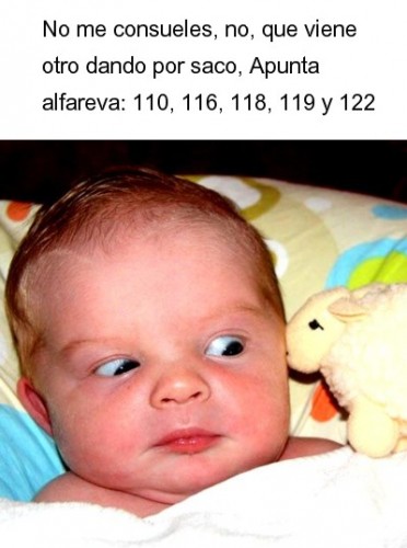 208.jpg