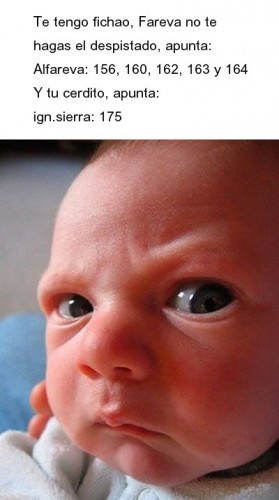213.jpg