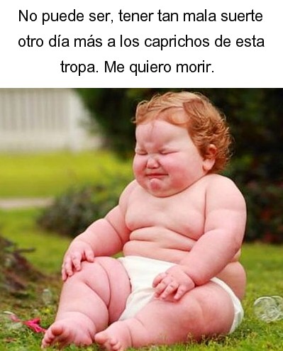 222.jpg