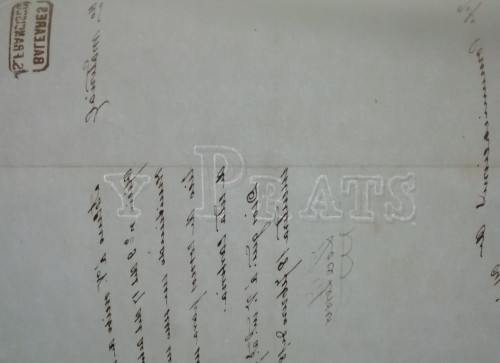 carteria formentera_1.jpg