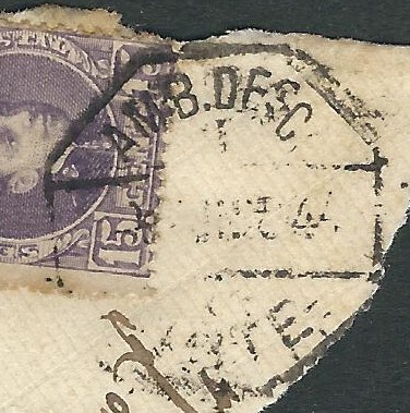 scan.jpg