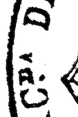 1 text.jpg