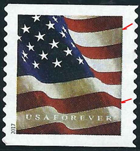 scan.jpg