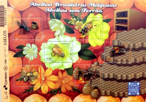 abejas.jpg