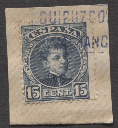 Carteria Villafranca violeta_1.jpg