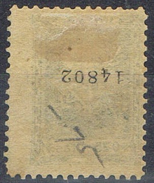 cifra al dorso