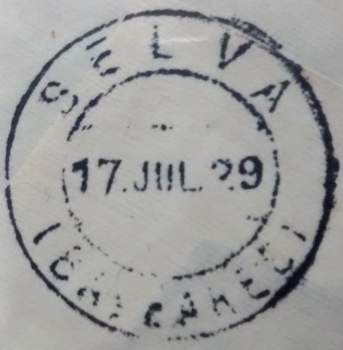 selva.jpg