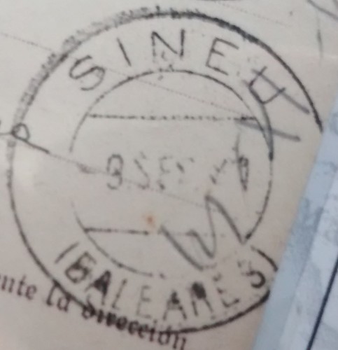 sineu 2.jpg