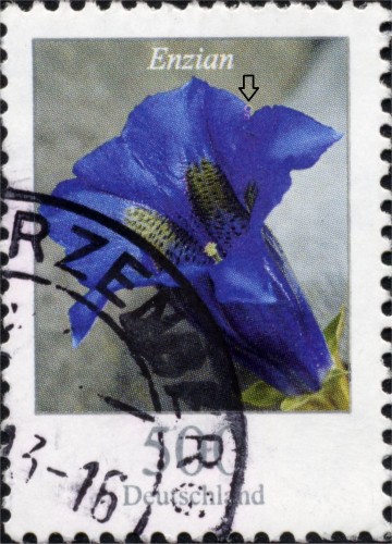 Imagen1.jpg