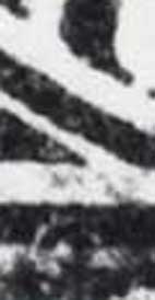 #6-D028-005detalle2.jpg