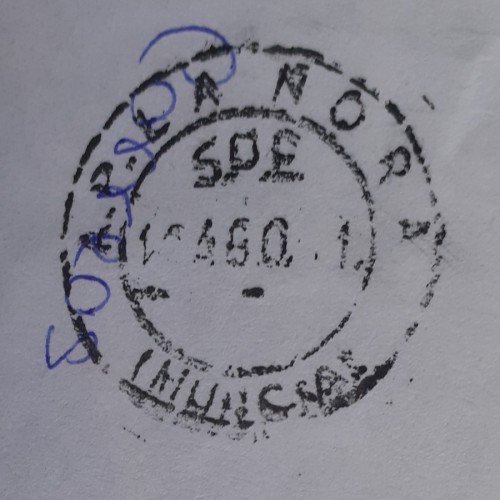 MURCIA - A.P. LA ÑORA.jpg