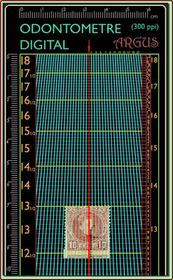 243spv medición vertical