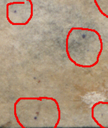 tienec2.jpg