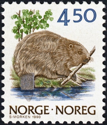 Noruega, 1990, Castor. Sello diseñado y grabado por Sverre Morken. Impresión mixta en calcografía y offset