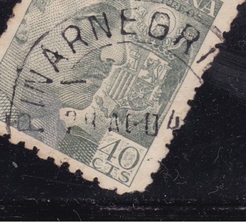 PINARNEGRILLO.jpg