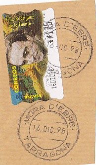 MORA D'EBRE.jpg