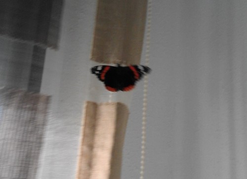 20200510_180434.jpg