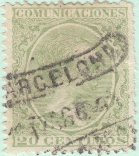 PLATANO-220-PKATANO (1).jpg